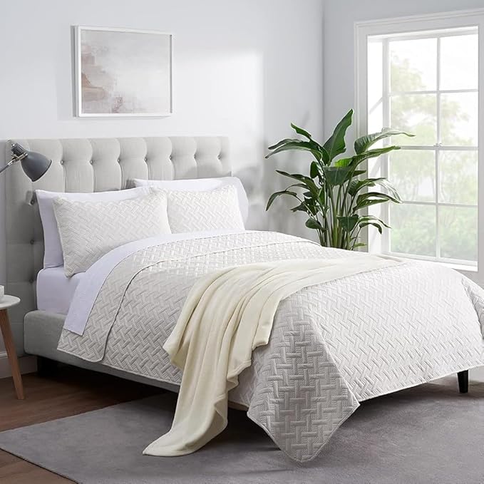 SERTA Cozy Plush Thick Fuzzy Super Soft Lightweight Throw Blanket for Bed, Couch, or Travel, King (108 in x 90 in), Off White