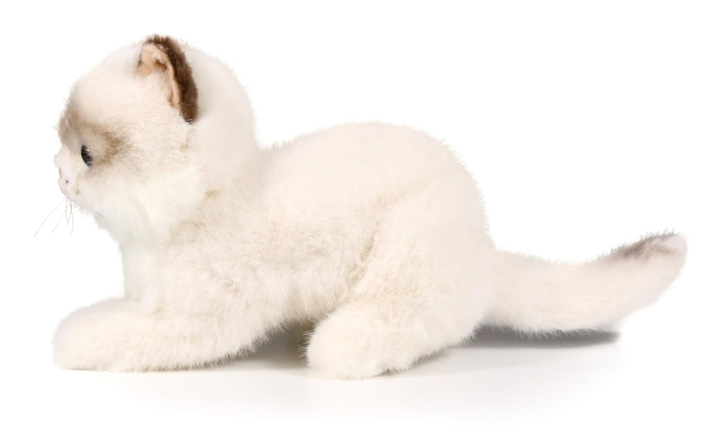 Ice King Bear Little Ragdoll Cat Stuffed Animal Kitten Plush Toy (Lying)