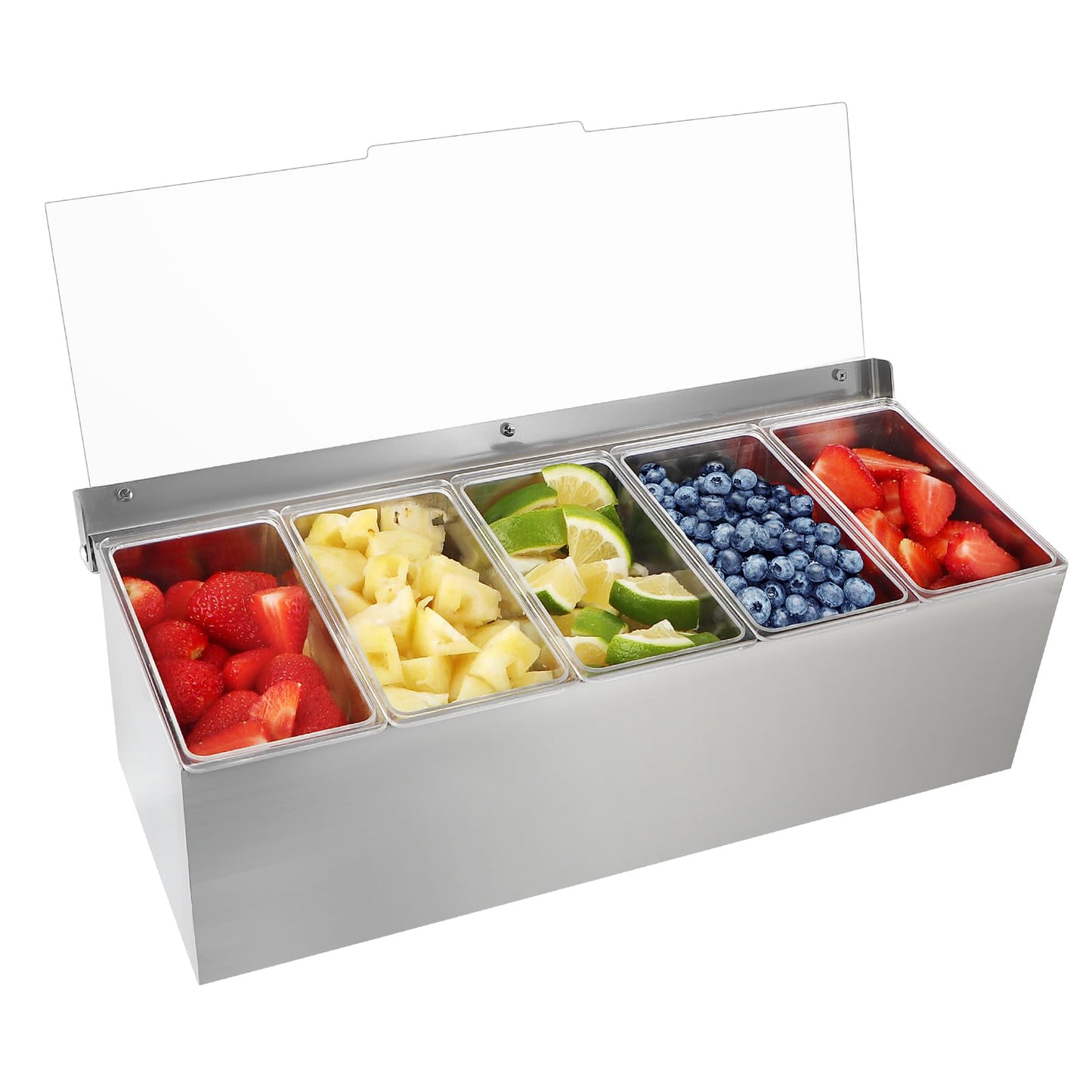 MOLIGOU Chilled Condiment Server, Stainless Steel Chilled Condiment Tray with Lid, Ice Fruit Serving Containers with 5 Removable Compartments