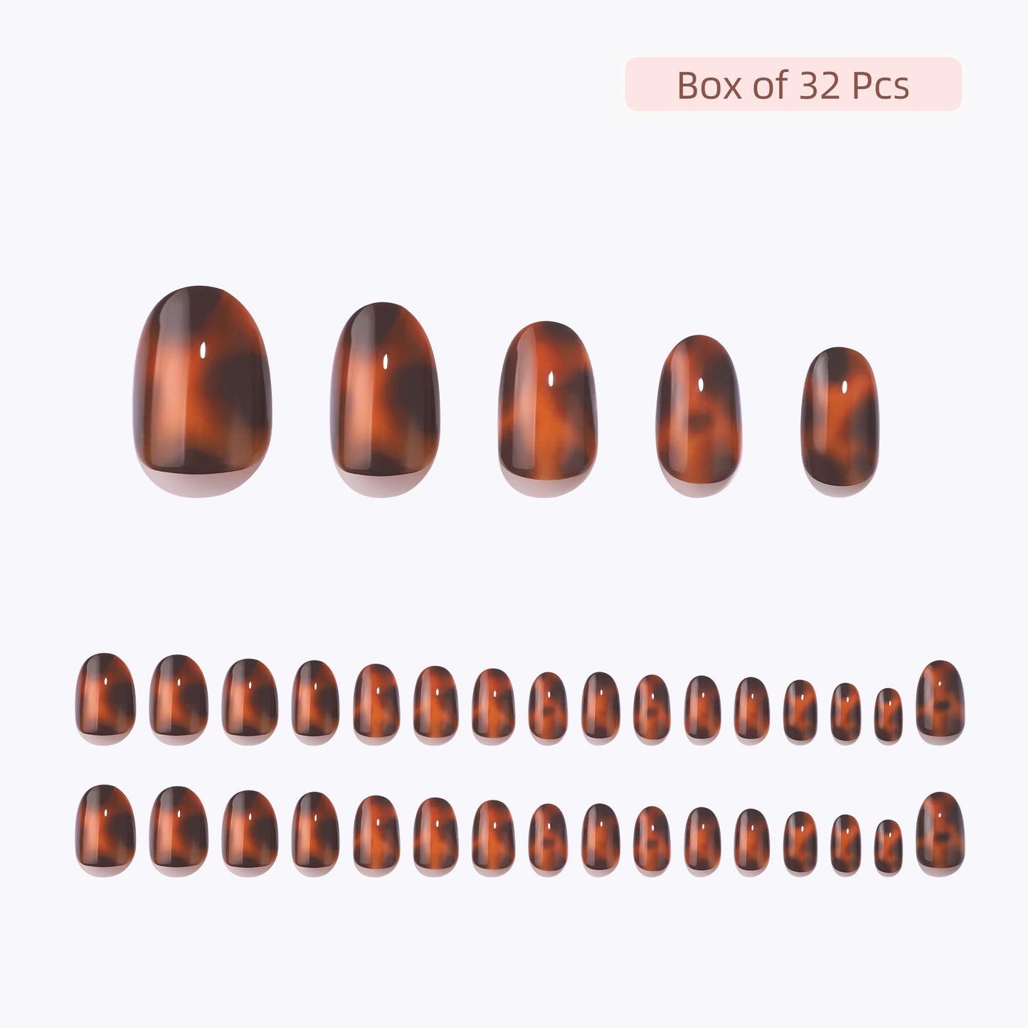 RPNZL Press On Nails - Tortoise | Amber Tortoise Shell Short Oval, Salon Quality | 32 Nails, 16 Sizes Kit with Glue and Adhesive Tabs I Female Founded - Beauty, Self Care