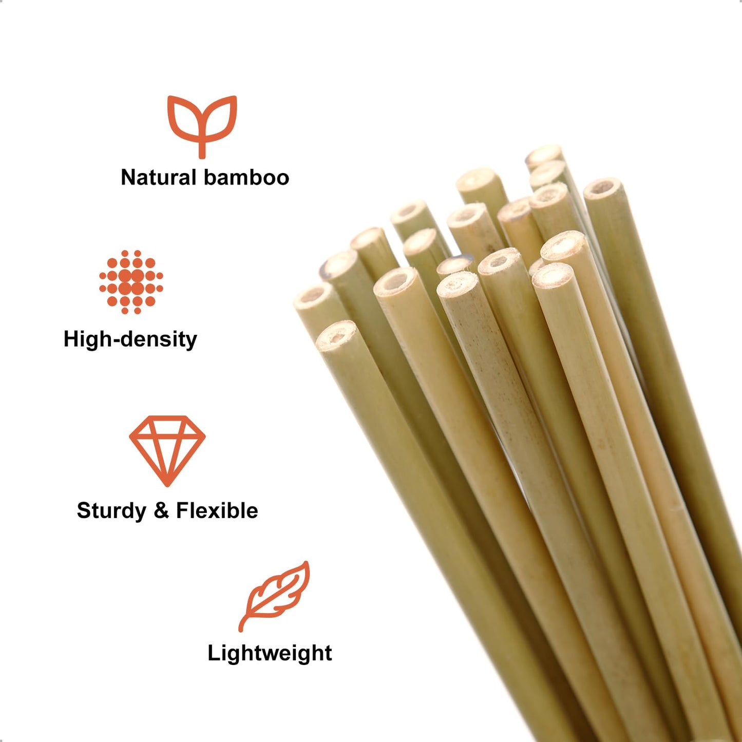 COLOtime Bamboo Stakes 2FT Garden Stakes Plant Stakes for Indoor Potted Climbing Plants Poles Sticks Support Peppers Orchid Daffodils 30 Pack