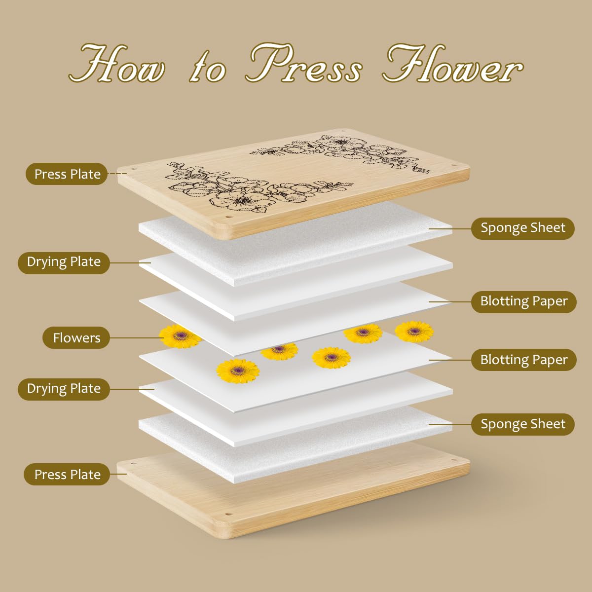 Happinit Large Flower Press Kit - 6 Layers 11" x7" Even Pressure for DIY Arts, Pressing for Adults, Dried Plant Preservation for Craft Lovers