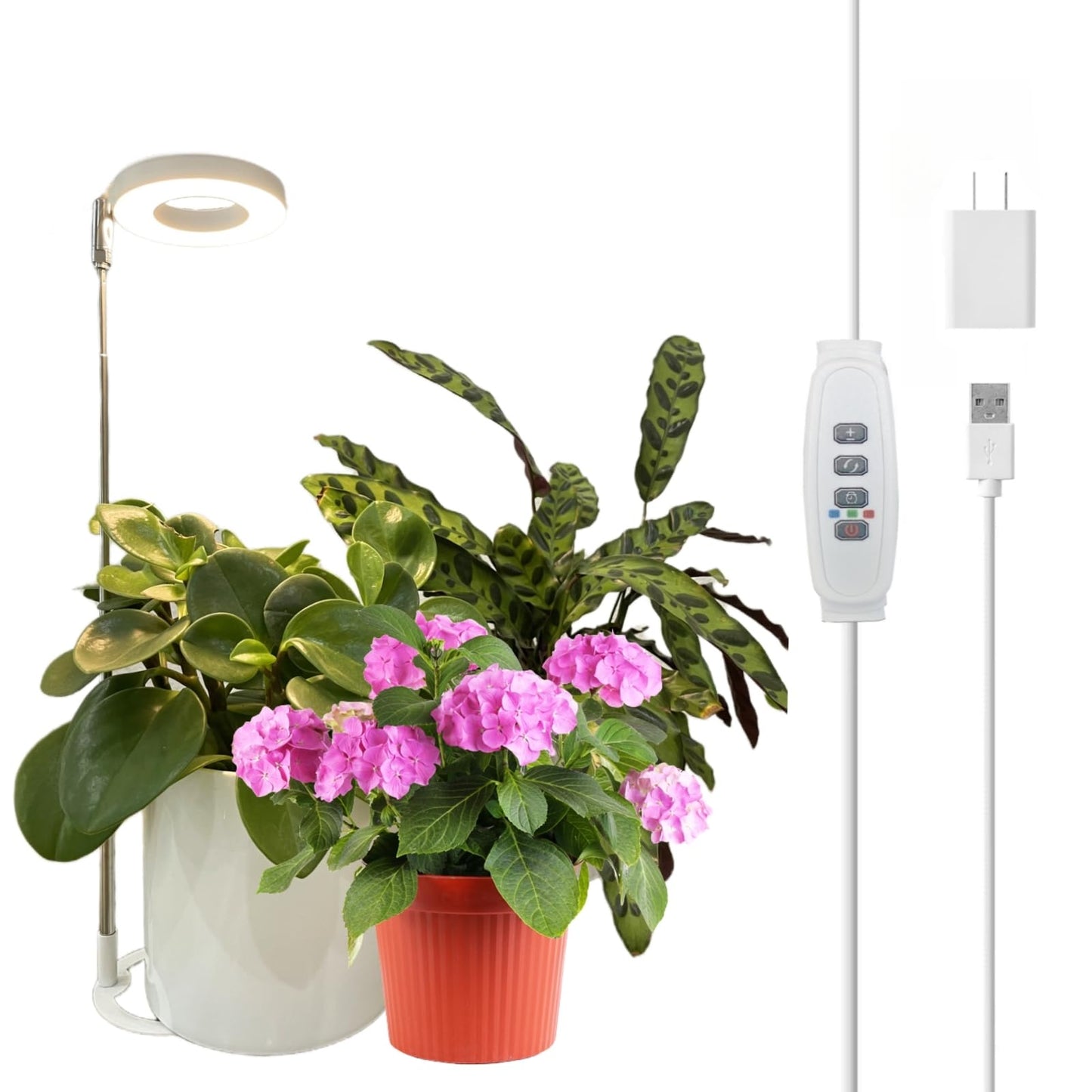 SYLIKENATE LED Grow Light for Indoor Plants, Full Spectrum led Grow Light,Mini Halo Grow Lights for Small Plants,Height Adjustable Growing Lamp,3 Modes,3/9/12h Automatic Timer,10 Dimmable Brightness