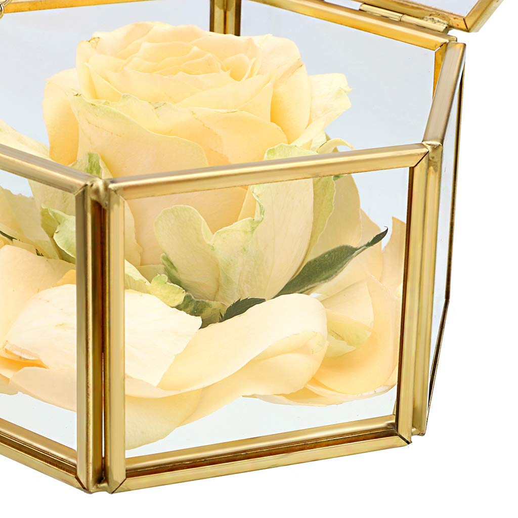 Hipiwe Preserved Flower Glass Box, Hexagon Glass Jewelry Decorative Bin, Ornate Trinket Display Organizer Case Keepsake Box Gift for Women
