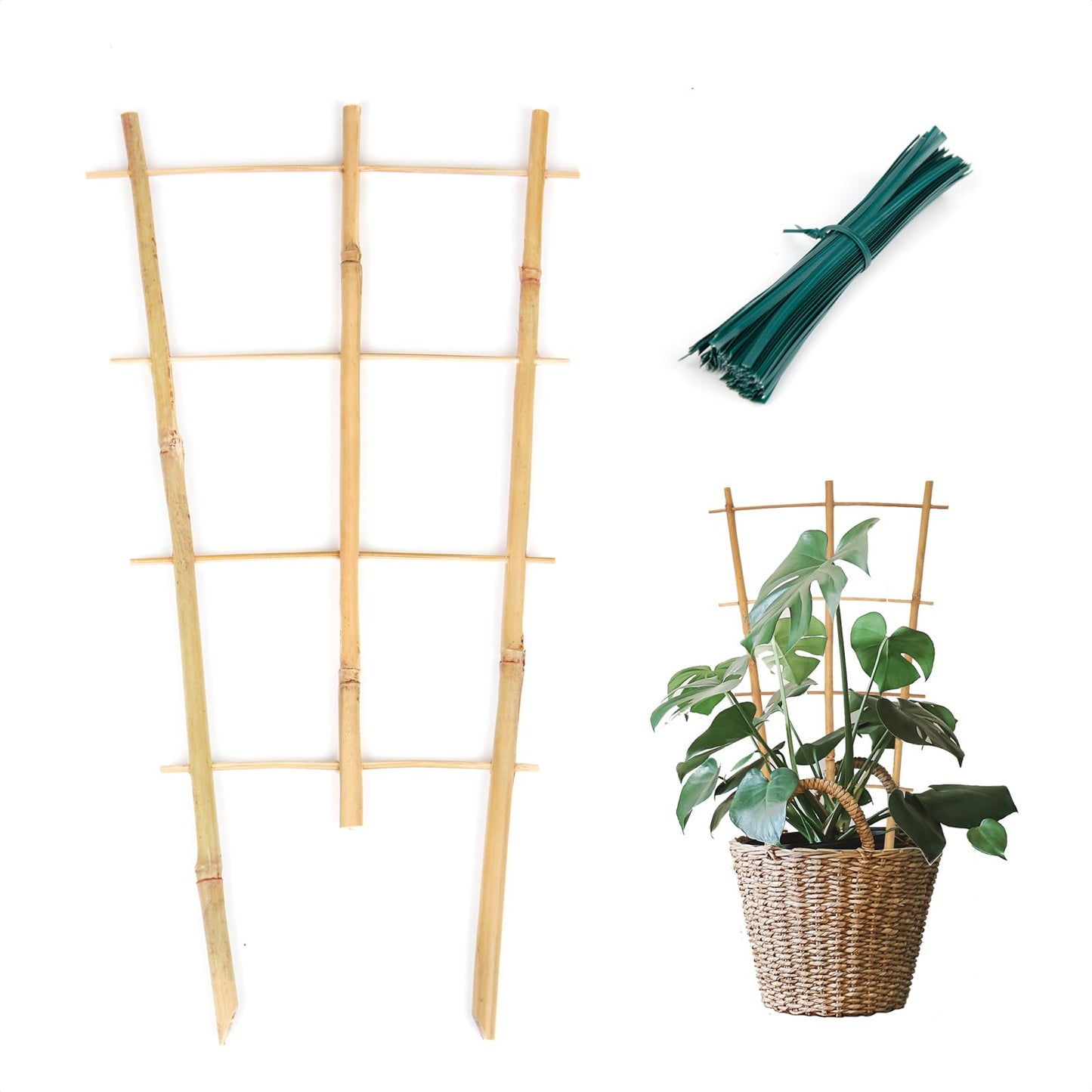 Cambaverd Plant Trellis Indoor, 3 Pack Bamboo Trellises, 16in Fan-Shaped Trellis for Potted Plants Climbing Plants Hoya Vine Ivy