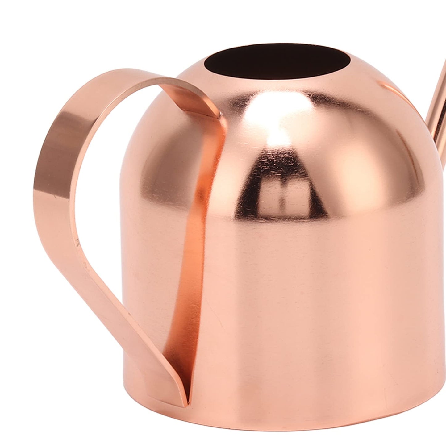 Phefop Watering Can, Stainless Steel, Large Capacity for Indoor Outdoor Plants, 1 Gallon Mini Can for Bonsai and Houseplants