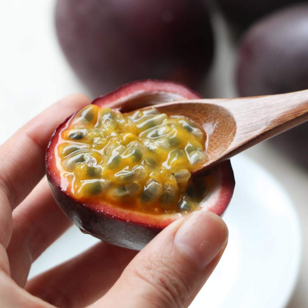Purple Passion Fruit Plants Live, Live Passion Fruit Vine Plants, 4 to 6 Inches Tall, Passion Plant