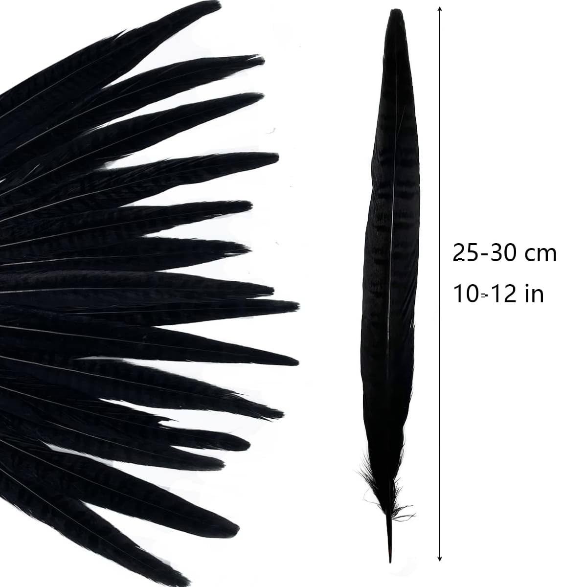 10pcs Black Pheasant Tail Feathers 10"-12" Gothic Decorative Feathers for Dark Edgy Art Projects Halloween Costumes Witchy Cosplay