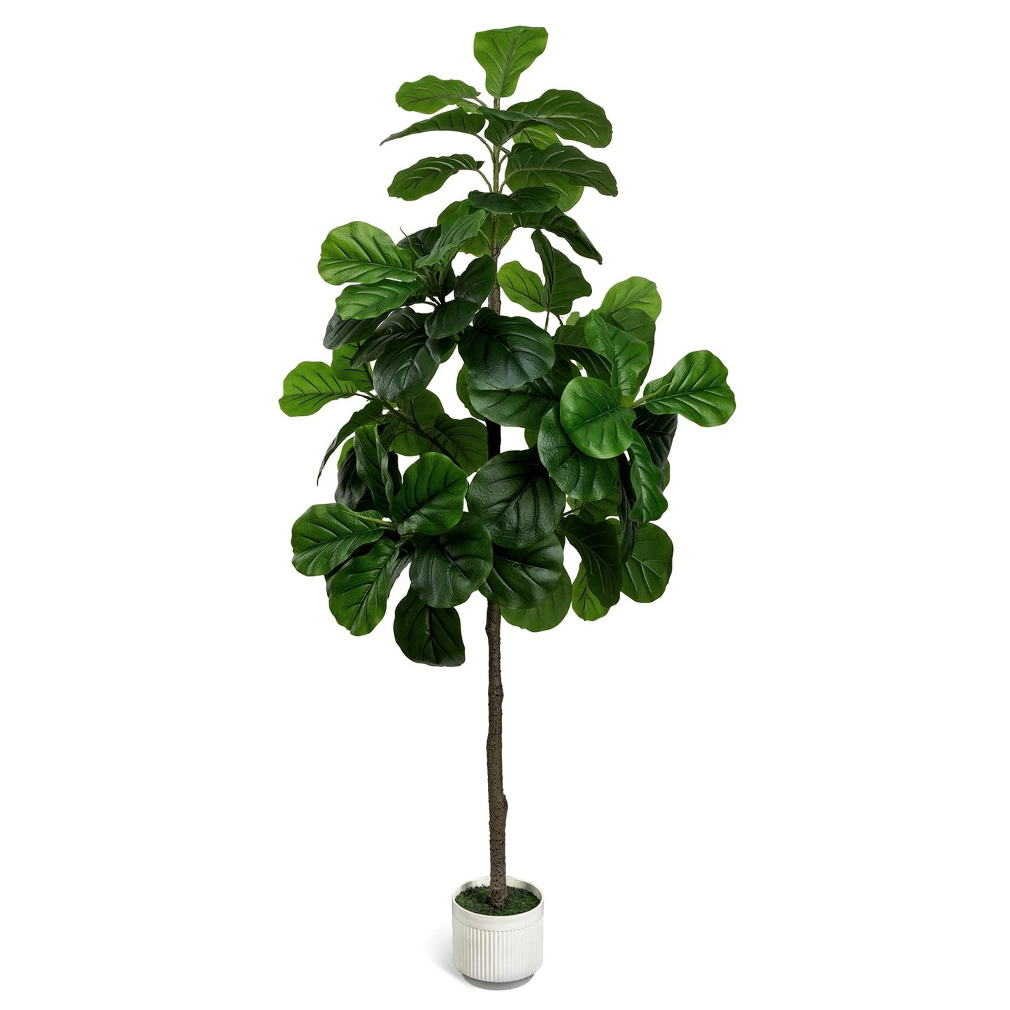 LuceAlberi Artificial Fiddle Leaf Fig Tree 6FT - Large Fake Tree with White Planter, Tall Faux Ficus Lyrata Tree Floor Plants for Indoor Home Decor Office Living Room Housewarming Gift, 1Pack