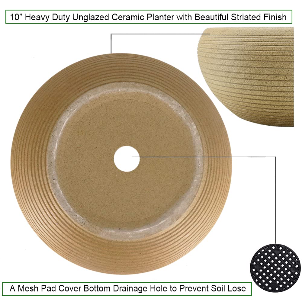 MUZHI 9.5” Round Large Ceramic Bonsai Bowl Planter，Clay Succulent Plant Pot Container with Saucer