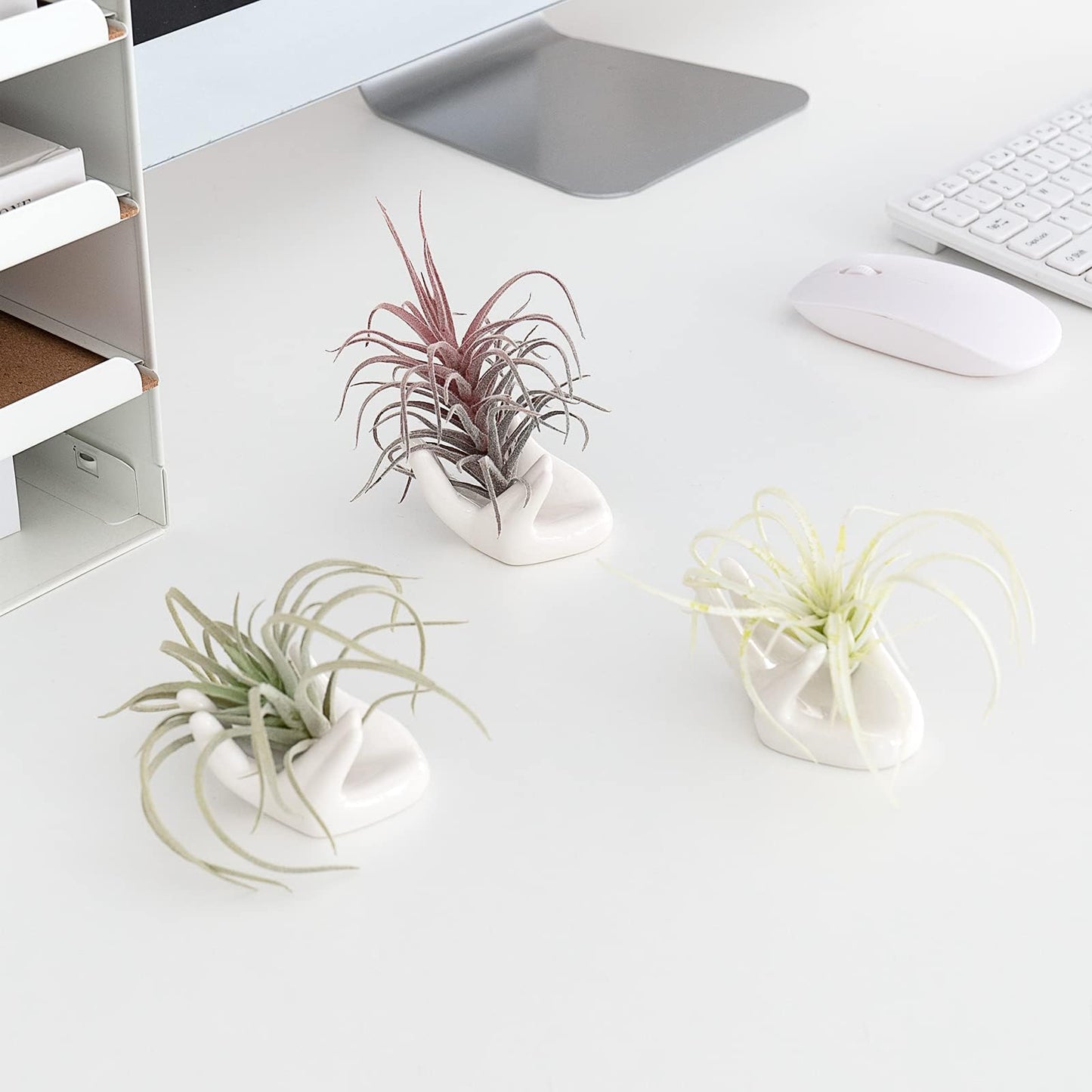Dahey Mini Air Plant Holder Cute Ceramic Hand Shape Stand Airplants Tillandsia Small Container Pot Plant Decorative Home Decor for Desk Table Shelf, White, 1 Pack (No Plant Included)
