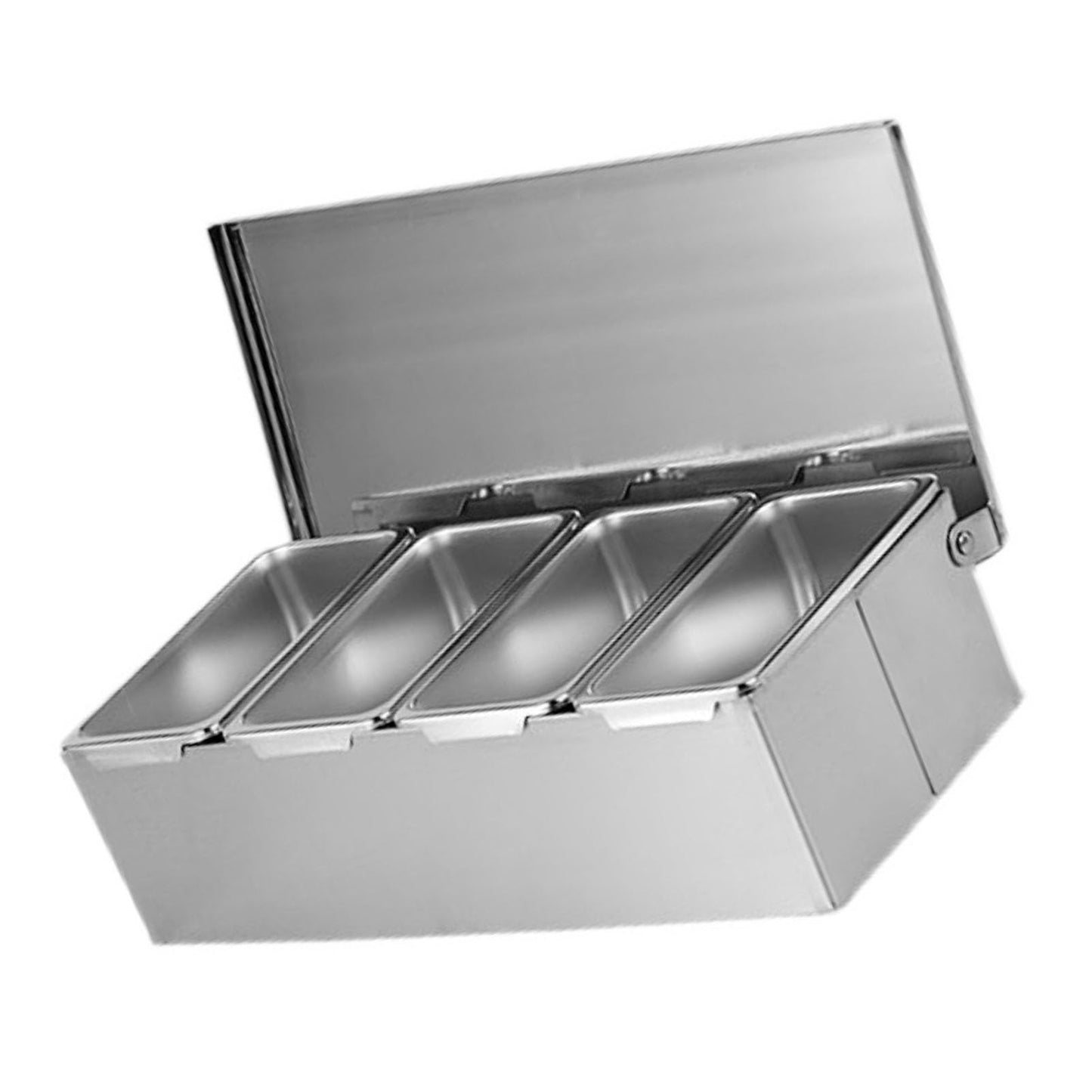 Cocoarm Stainless Steel Seasoning Box, 4 Compartment Tray, Large Capacity for Kitchen Storage