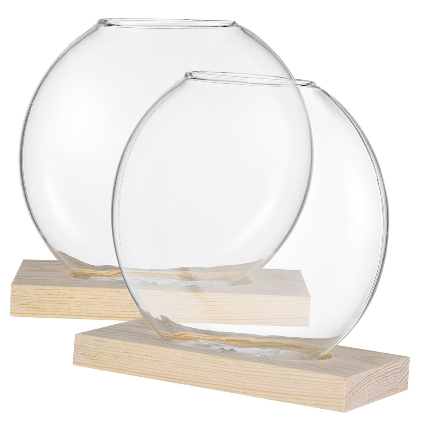 MERRYHAPY 2sets Glass Base for Plant Propagation Stylish Terrarium for Decor for Hydroponic Plants and Floral Displays