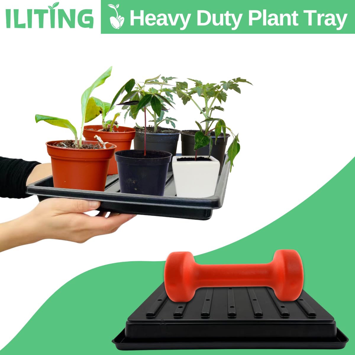 ILITING Plant Growing Seed Starter Trays for Seedlings Microgreen, Shallow Plants Tray Standard 1010 Tray with Drain Holes 5 Pack Black 10.7 x 10.7 inches Square Trays