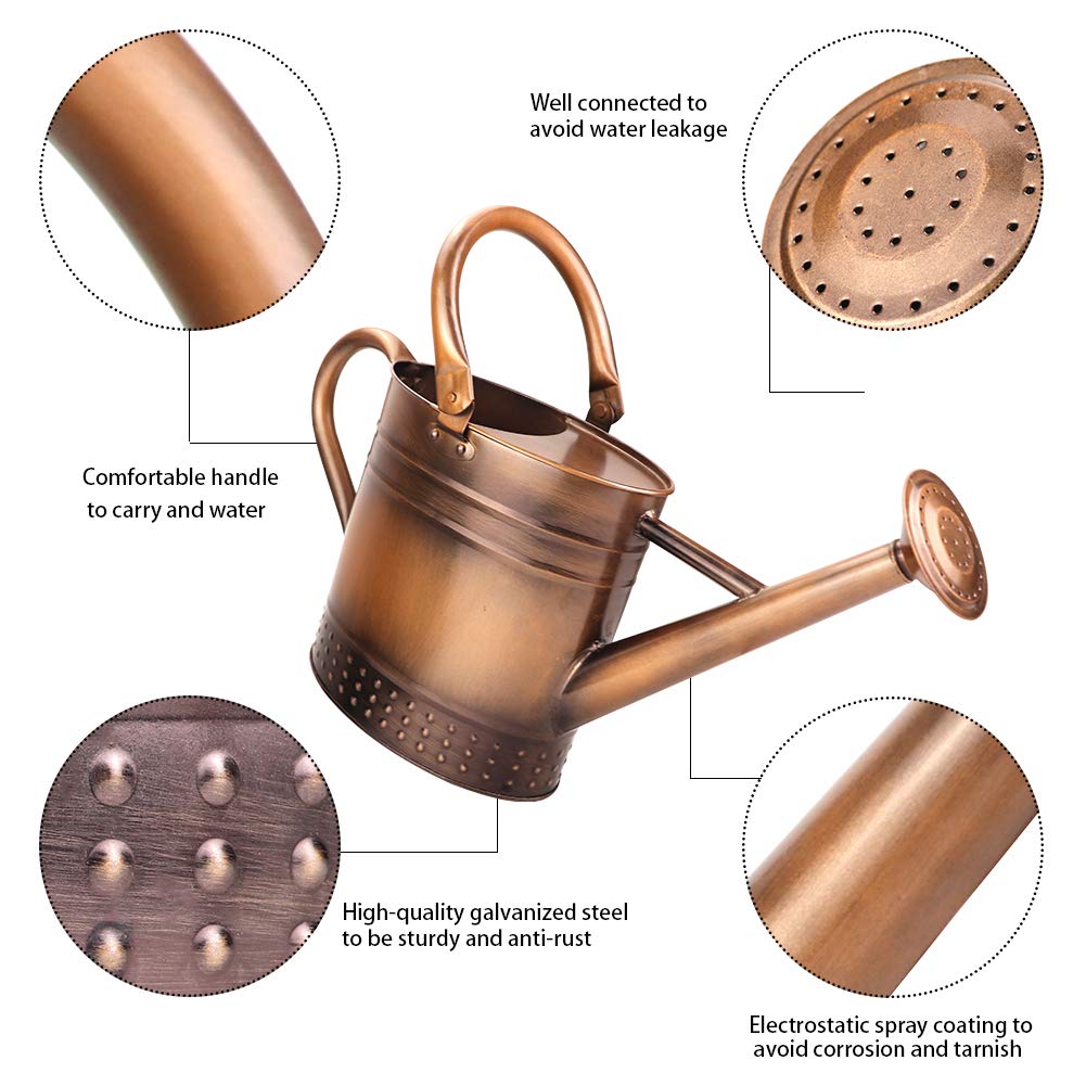 Megawodar 1 Gallon Metal Watering Can with Removable Spout, Nice Galvanized Steel Water Can with Embossed Design for Indoor and Outdoor Plants