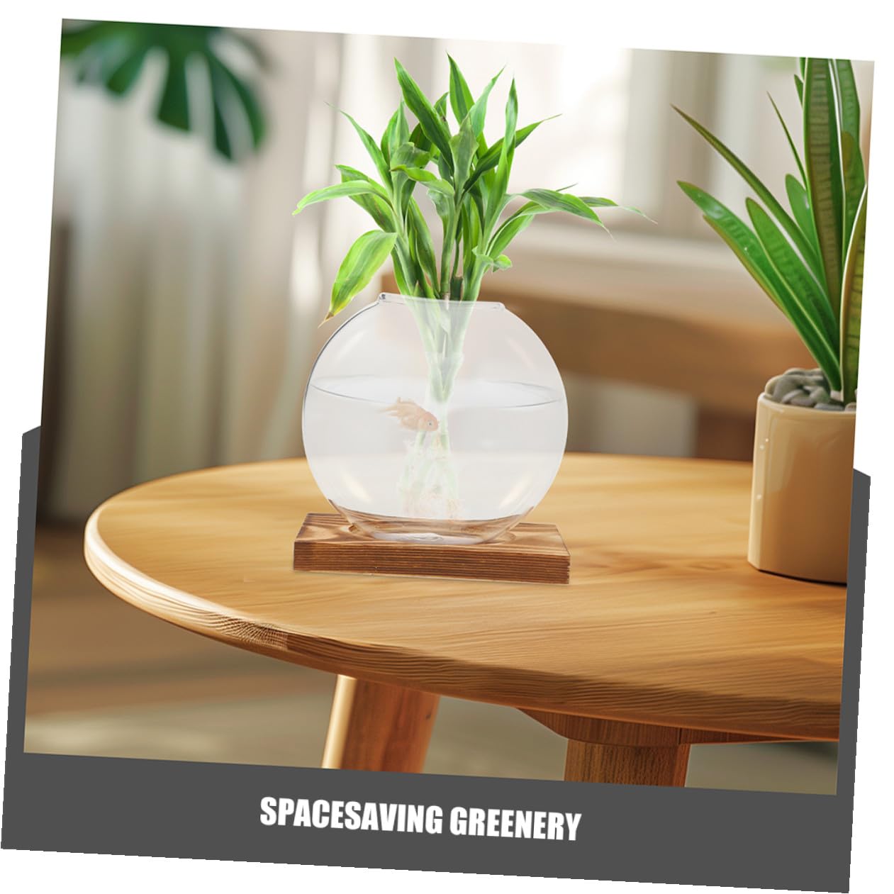 FUTUREORYY 2pcs Indoor Plant Vase with Wooden Base, Hydroponic Glass Planter for Propagation, Desktop Terrarium Suitable for Home and Office Décor