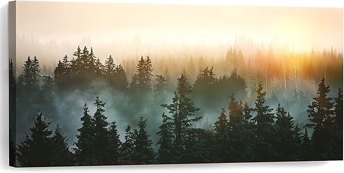 Large Wall Art for Bedroom Living Room Forest Bathed in Sunlight Canvas Print Picture Painting Framed Artwork Wall Decor for Bathroom Modern Room Plants Wall Decorations Size 58x29 Ready to Hang