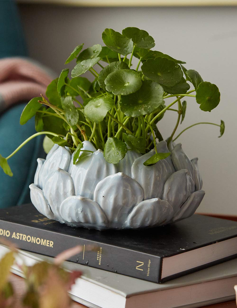 SEINHIJO Indoor Planter Ceramic Succulent Cactus Pot Flower Gift Modern Decor Art for Living Room Office Home Blue 7.1inch