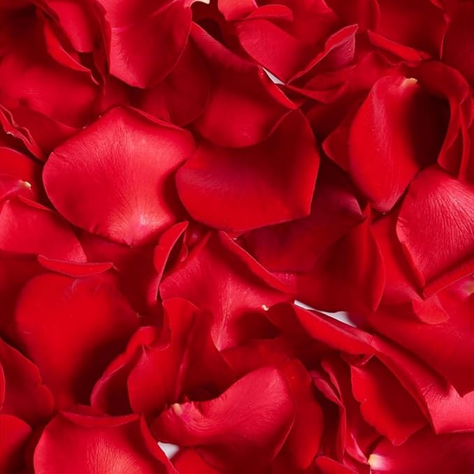 Fortunate Flowers Real Rose Petals Red for Wedding Table, 1.2oz/35g Preserved Red Forever Dried Flower Petals for Flower Girl Basket Romantic Night Wedding Proposal Centerpeice Shower Party Decor