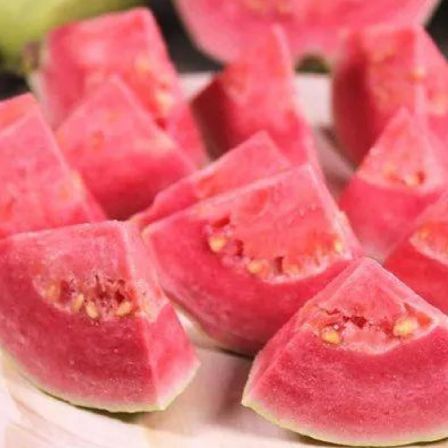 2 Guava Plants Live, Pink Guava Tree Live Plant, 4-8'' Tall, Easy Tropical Fruit for Gardens, No Potted