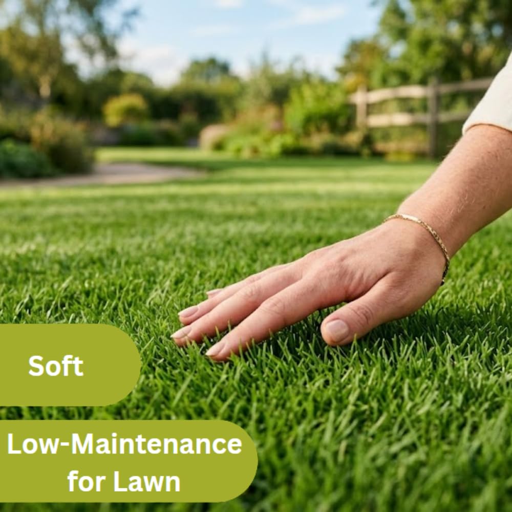 10000 Zoysia Grass Seed, Zoysia Emerald Grass Seeds for Lawn, Soft Texture and Drought Tolerant Grass Seed