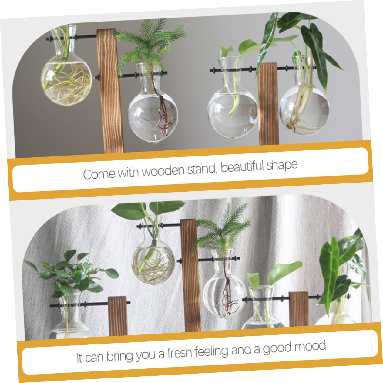 BESPORTBLE 1set Hydroponic Plant Vase Desktop Terrarium for Home Office Decoration Easy to Install Premium Glass for Floral Arrangement