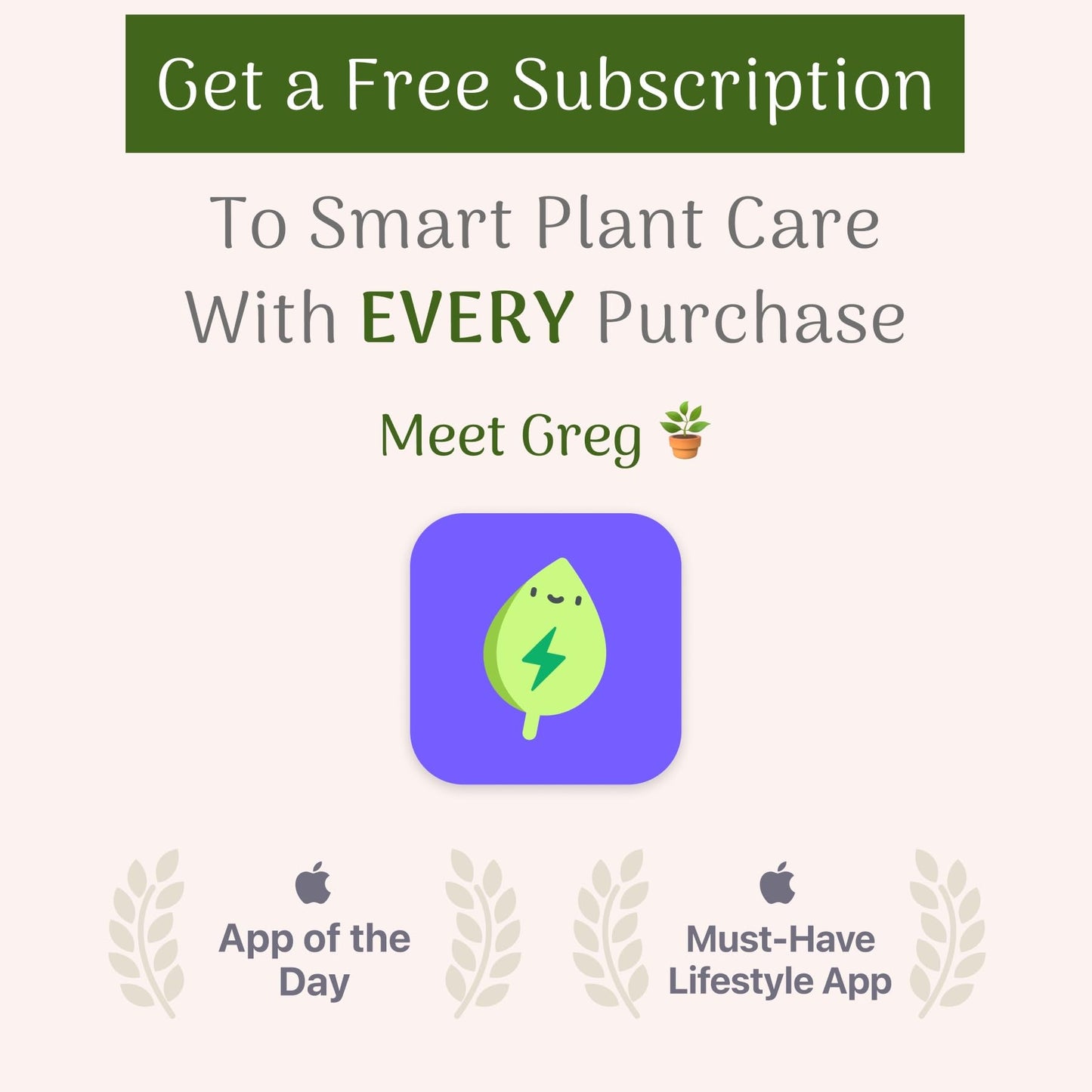 American Plant Exchange Live Fiddle Leaf Fig – 10-Inch Pot –Bold Leafy Indoor Plant for Bright Spaces