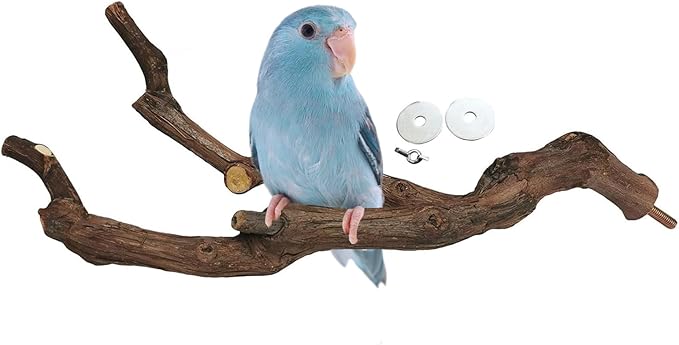kathson Natural Parrot Perch Bird Stand Pole Wild Grape Stick Paw Grinding Fork Parakeet Climbing Standing Branches Toy Chewable Cage Accessories for Small Budgies Cockatiels Lovebirds 2PCS