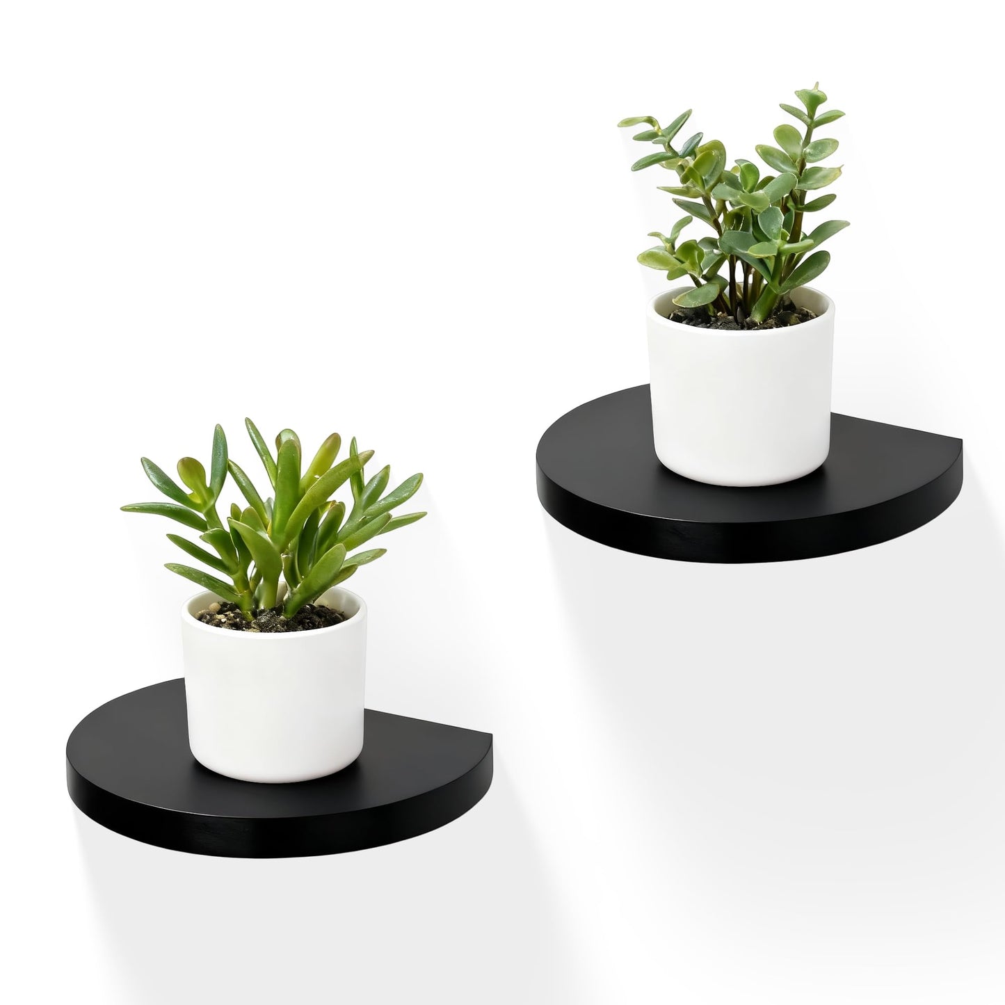 MITREL Small Wood Floating Shelves (2-Pack, 6-inch Diameter) - Round Sturdy Invisible Wall Mount Display for Small Plants,Toys,Bathroom,Living Room Storage & Modern Rustic Décor (Black)