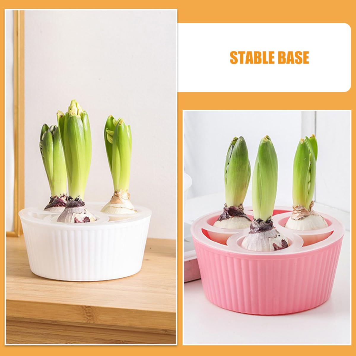 MOBUTOFU 2Pcs Net Cups 3-Hole Hydroponic Bulbs Planter Pot Small Root Control Plastic Flower Pots Heavy Duty for Tulip Daffodils Narcissus Indoor Water Planting and Succulent Gardening Plastic