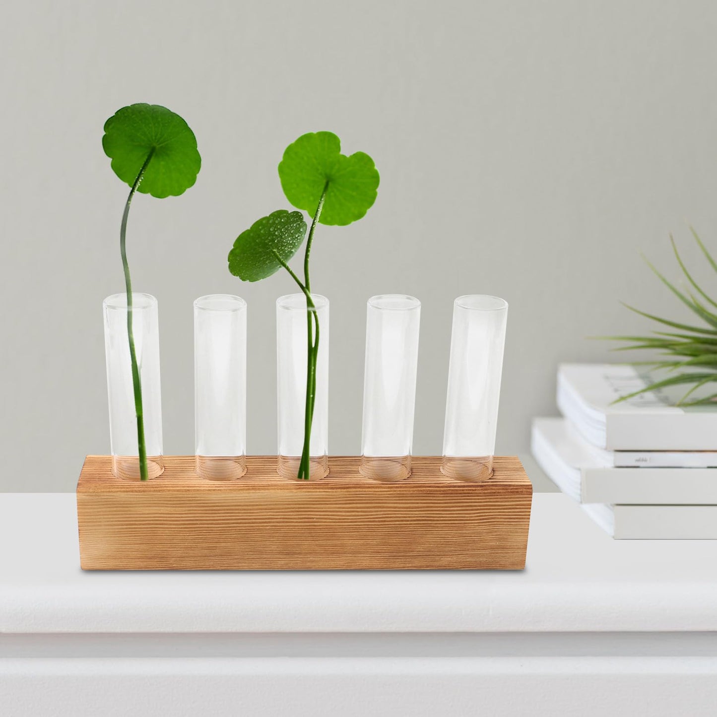 VICASKY Hydroponic Glass Vase with 5-Hole Wooden Stand, Tabletop Plant Propagation Station for Indoor Flower Plant Terrarium and Home Décor