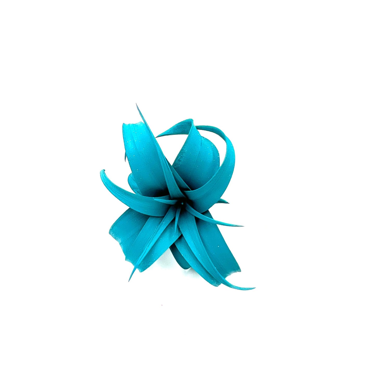 ragnaroc Air Plants - Dyed Tillandsia Xerographica Pup, Large 2-4" (Miami Teal) - 1ct - Live Arrival Guaranteed - House Plants for Home Decor & Gift