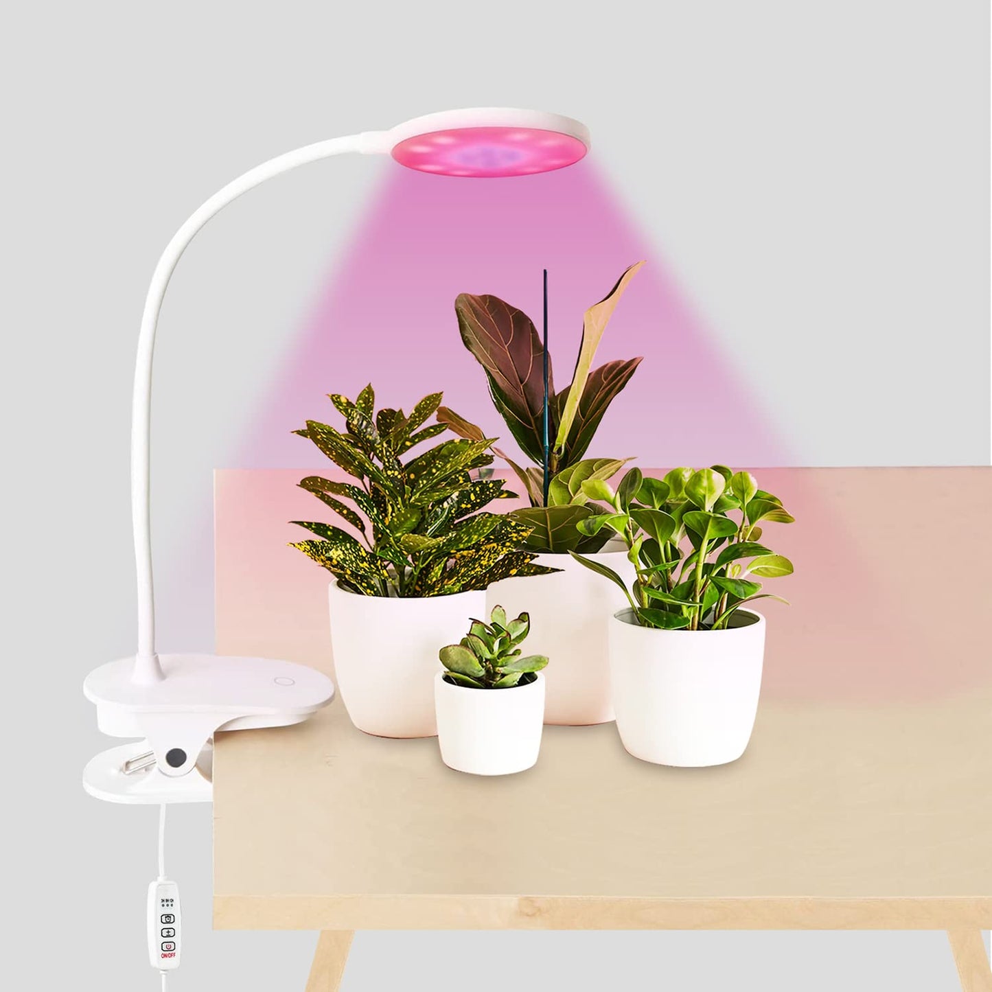 RiverLux LED Grow Light for Indoor Plants, 360 Degree Adjustable Gooseneck with Blue Red LEDs, Clip Plant Growing Lamp, Succulent Light, 5-Level Dimmable, with 3/9/12H Auto On Off Timer
