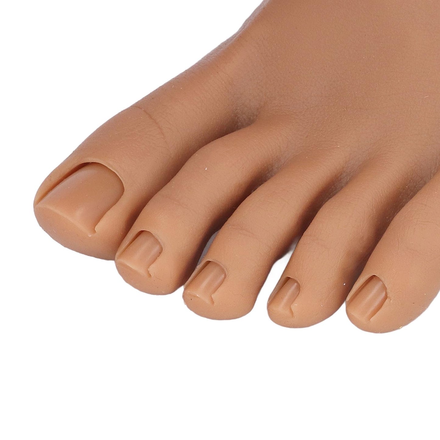 Silicone Nail Practice Trainning Foot with Stand, Flexible Bendable Nails Tip Half Foot Model, Manicure Mannequin Fake Foot Pedicure for Salon Art Training Display (Left Foot)