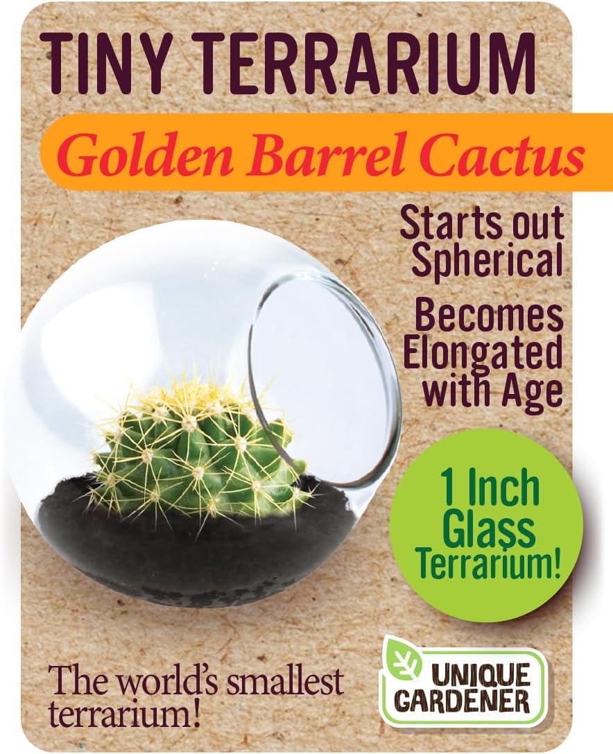 Unique Gardener Tiny Terrarium Plant Seeds 6 Variety Cacti Pack, DIY Indoor Succulents and Live Plants for Home or Garden Planting, Assorted Cacti Pack