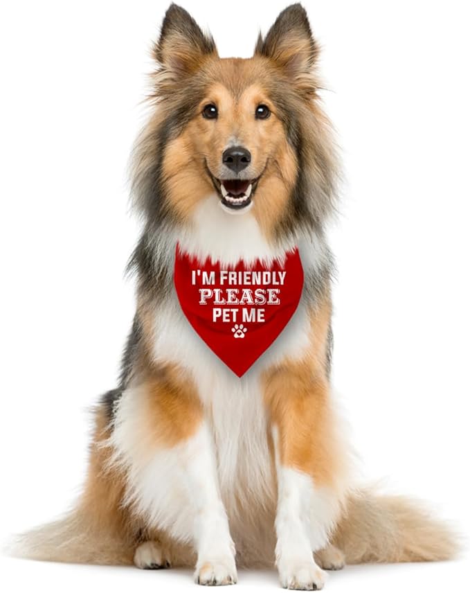 I'm Friendly Please Pet Me Dog Bandana - Red, Funny Cute Triangle Scarf Accessory for Small Medium Large Dogs (D49)
