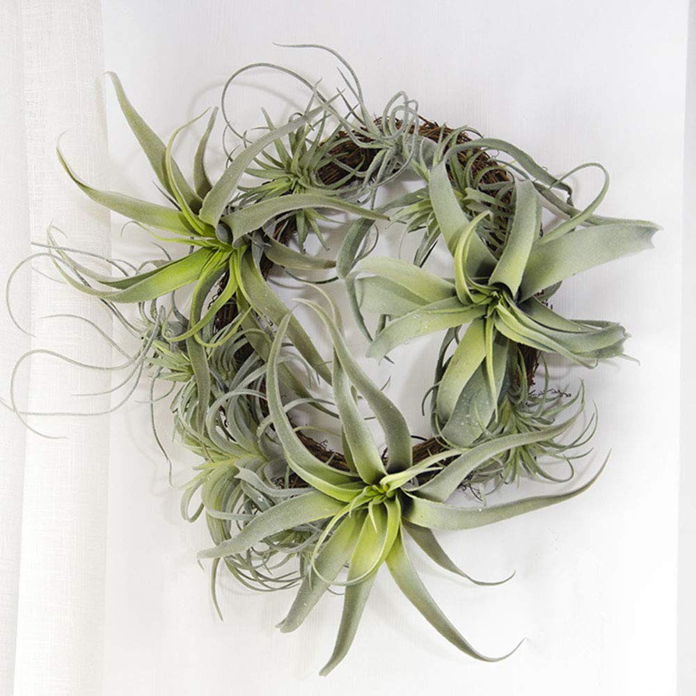 ChezMax Artificial Flocking Tillandsia Air Plants Pineapple Grass Faux Succulents Bromeliads Home Garden Decor 2Pcs 4#
