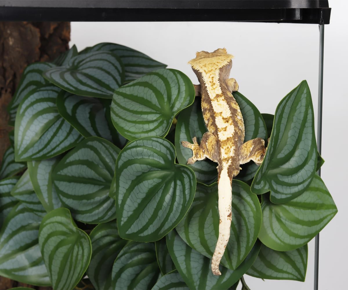 WOLEDOE Reptile Plants for Terrarium, Amphibian Habitat Decor Artificial Hanging Plants with Suction Cup - Fake Calathea Orbifolia