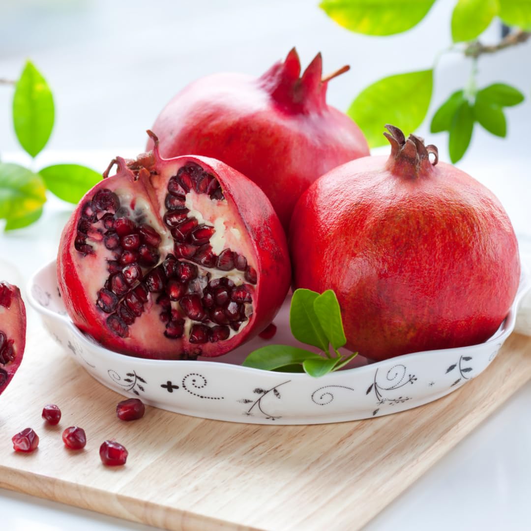 Sweet Pomegranate Tree Live Plant, 5 to 8 Inch Tall, Pomegranate Fruit Tree, Outdoor Plant, Edible Fruits