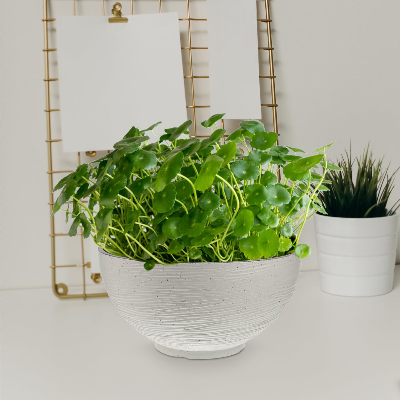 Angoily Lotus Bowl Planter, 200 Oz Large Hydroponic Planter for Water Lilies, 13.76 Inch Round Flower Succulent Cactus Bowl Flower Pot, Garden Decorative Fishbowl