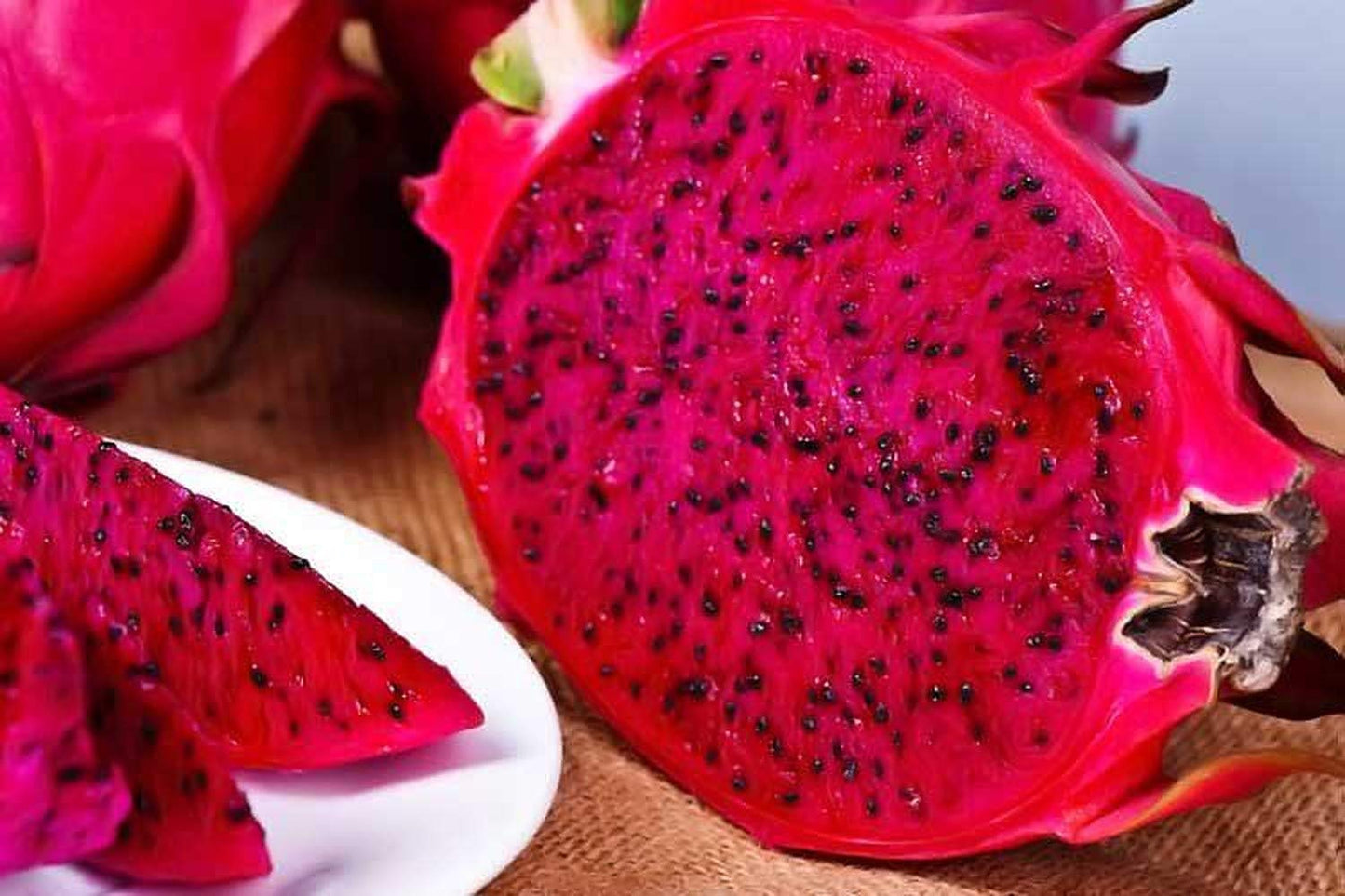 Generic 3 x Dragon Fruit Tree Cuttings 12" Long