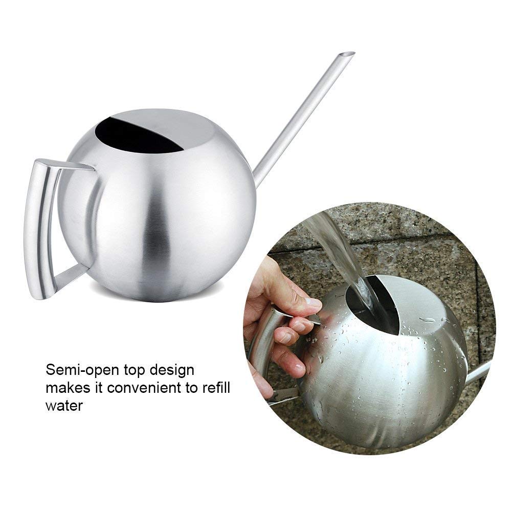 Fdit Watering Can for Indoor Plants, Stainless Steel, Long Spout, 1.0L, Silver, 11.42 Inch