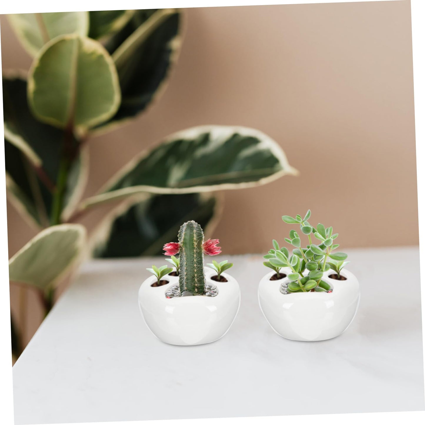 LIOOBO 2pcs Cat Claw Flower Pot Decorative Container with Drainage Cute Cacti Pot for Home Decoration for Room Office Balcony and Desk