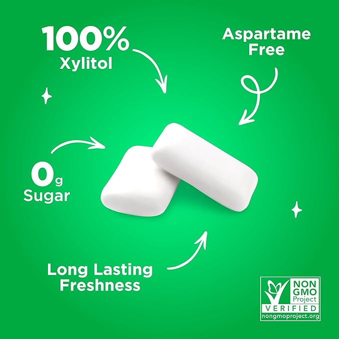 PUR Gum | Aspartame Free Chewing Gum | 100% Xylitol | Natural Spearmint Flavored Gum, 55 Pieces (Pack of 1)