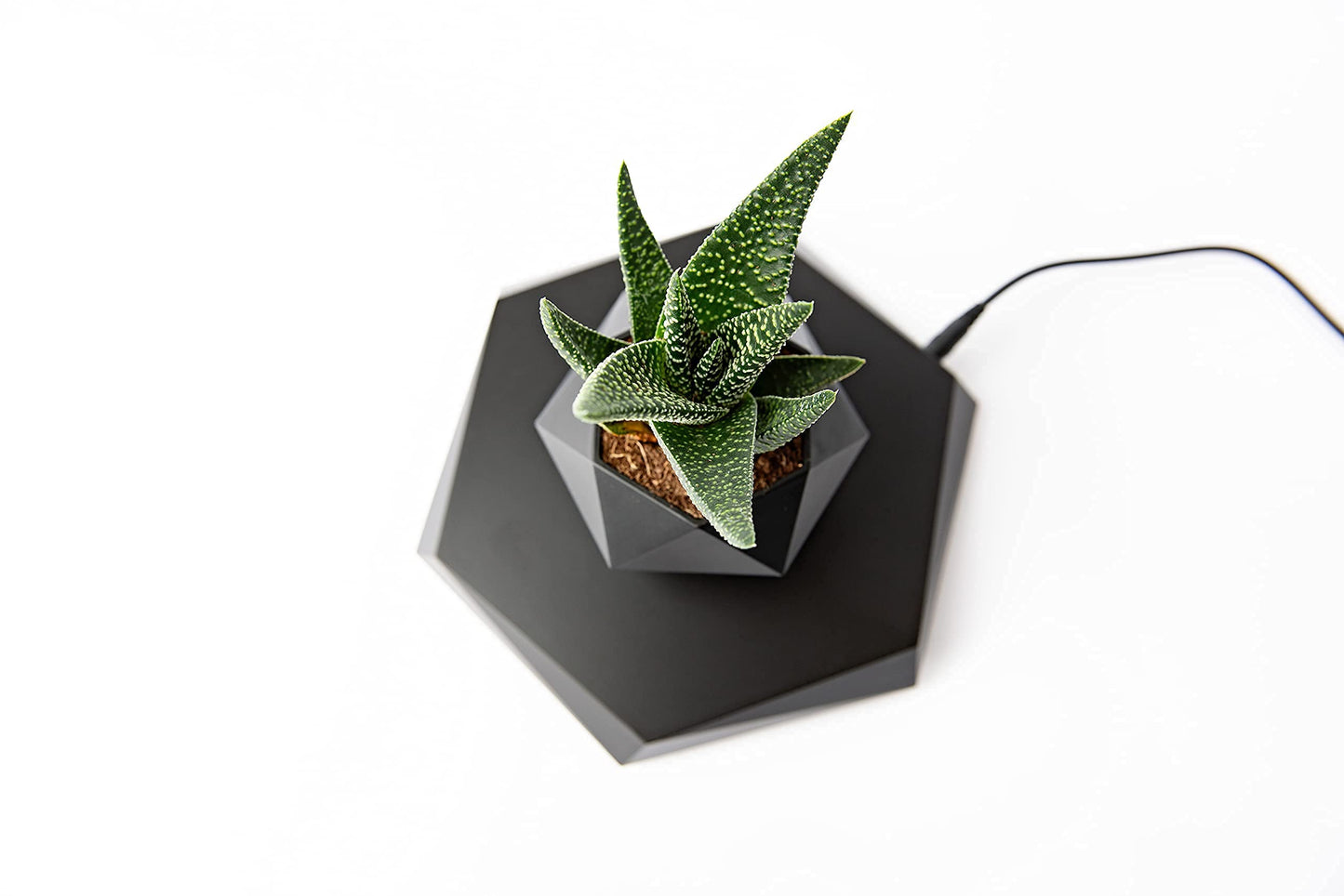 BandDlevs Floating Pots for Plants - Levitating Pot - Levitating Planter for Bonsai, Succulents, Air Plants - Floating Magnetic Display for Home Office Desks - Magnetic Levitation Plant Holder (Black)