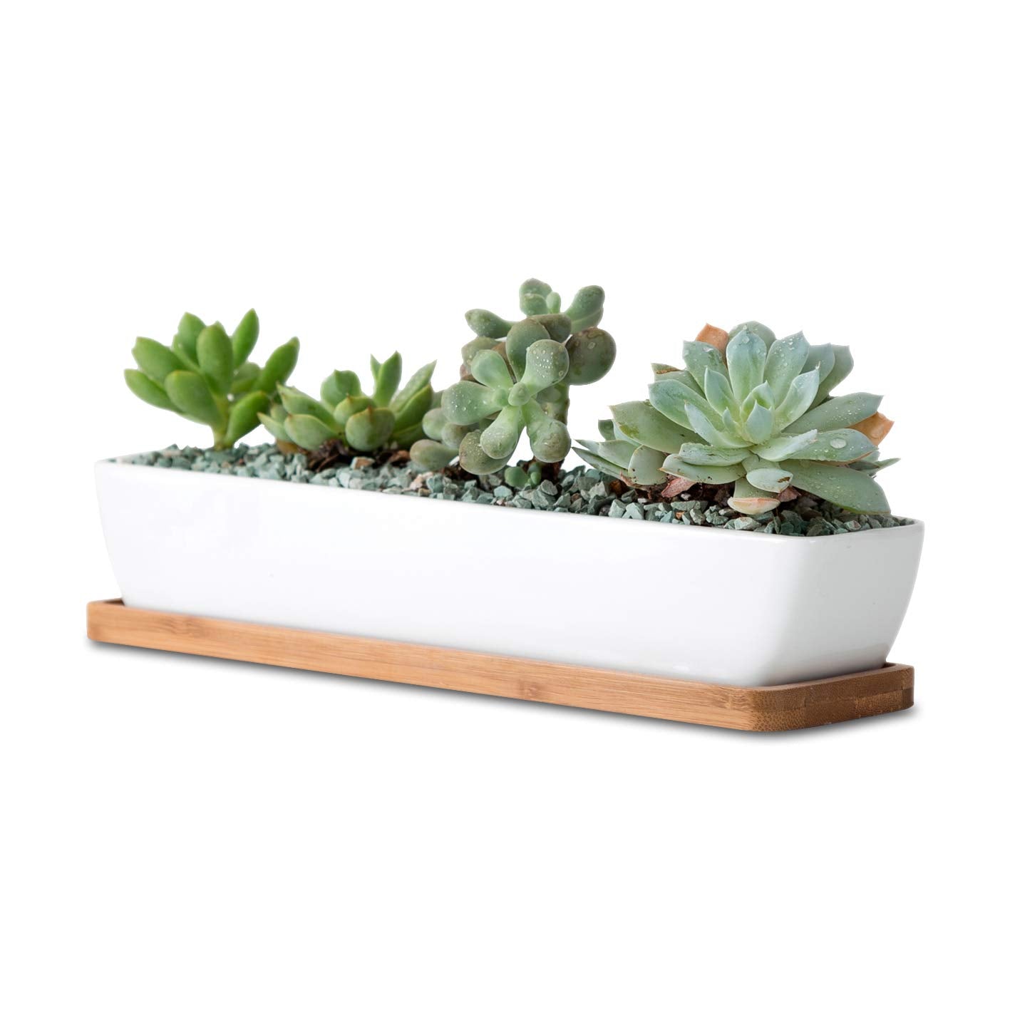 WISH HALLY WOOD 11inch Long Rectangle White Ceramic Succulent Planter Pots/Mini Flower Plant Containers with Bamboo Saucers. Product Size:11x2.23x1.69inch,not Include The Plant. (Long Rectangle)