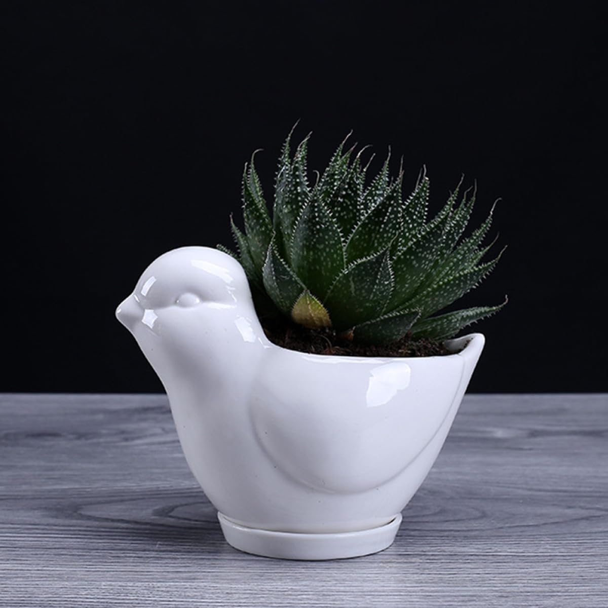 Parliky Ceramic Bird Shape Flower Pot Saucer Small White Succulent Plant Container Indoor Desktop Decor for Home Office Gardening