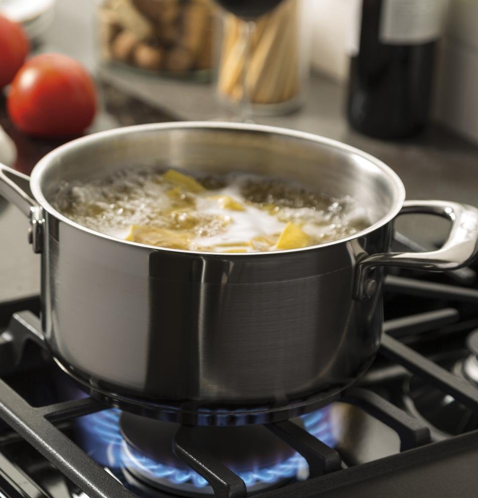 GE JGBS66DEKBB 30" Black Gas Sealed Burner Range
