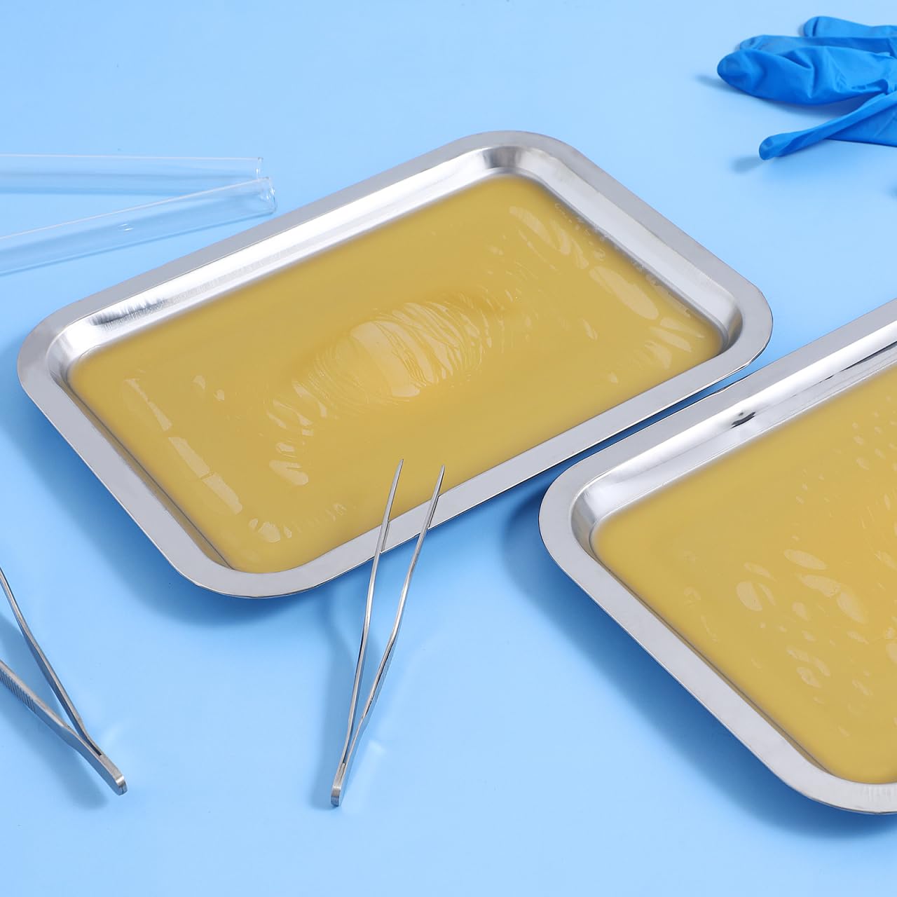 iplusmile 6 Set Dissection Pan with Wax, 10.2" x 7.5" Reusable Thicken Stainless Steels Dissection Kit for Laboratory Science Education & Medical Students Experiments