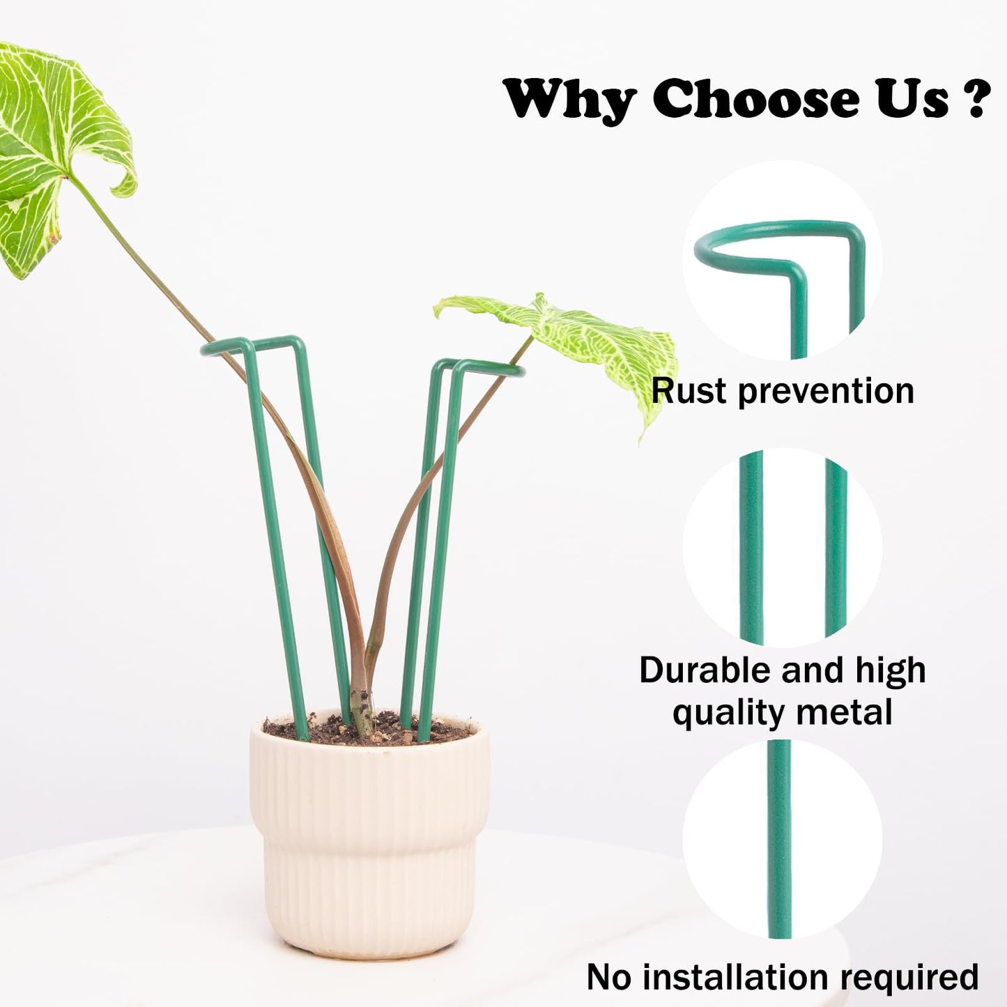 GOOOXIM Indoor Plant Stakes – 8.7" U-Shaped Durable Iron Support for Monstera & Potted Plants, Perfect for Small to Medium Climbing Plants, 10-Pack, Ideal for Home Décor & Plant Lovers